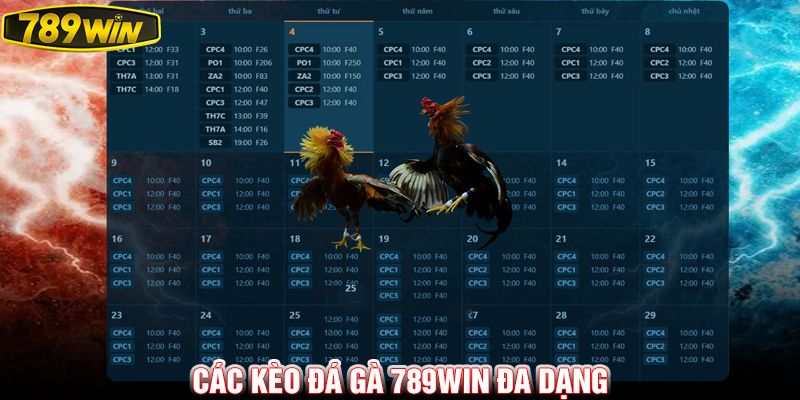 Các kèo đá gà 789Win đa dạng.