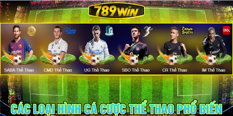 Các loại hình cá cược thể thao 789Win phổ biến.