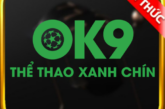 OK9 Nhà Cái Thể Thao Đáng Chơi 2024 – Trải Nghiệm Cá Cược Đỉnh Cao